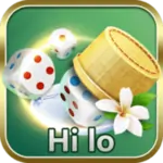 hi-lo.webp